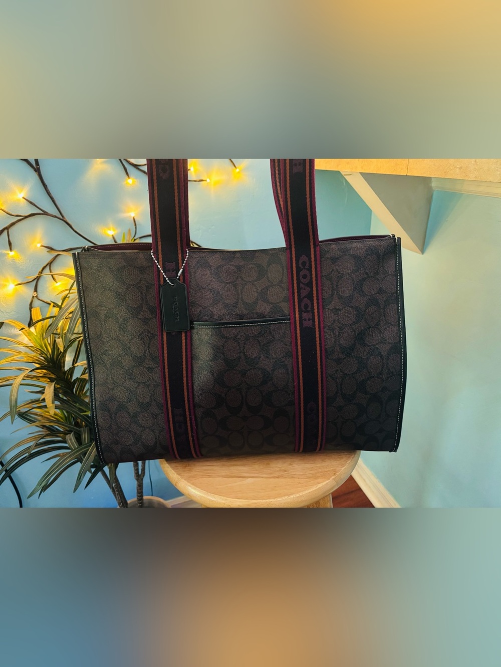 Coach Large Smith Signature Canvas Tote Bag